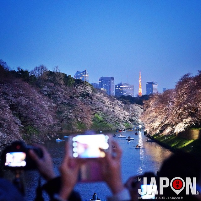 Il va faire beau aujourd’hui sur Tokyo, la guerre des Sakura va pouvoir reprendre !