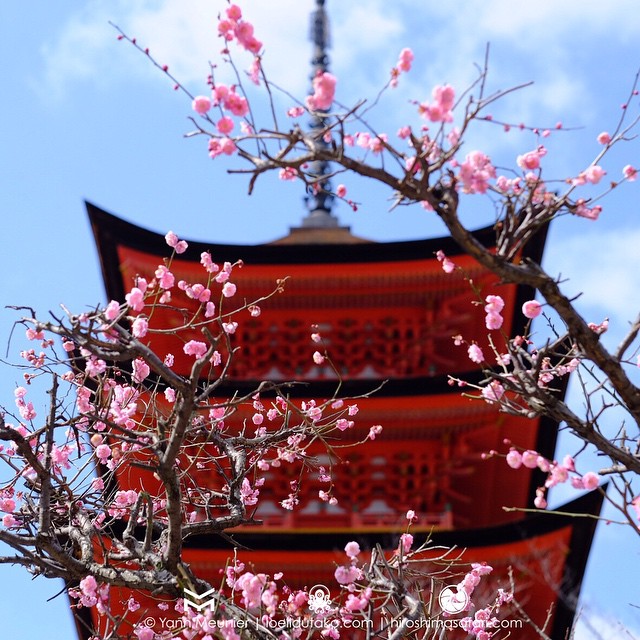 Encore une belle journée sur Miyajima !