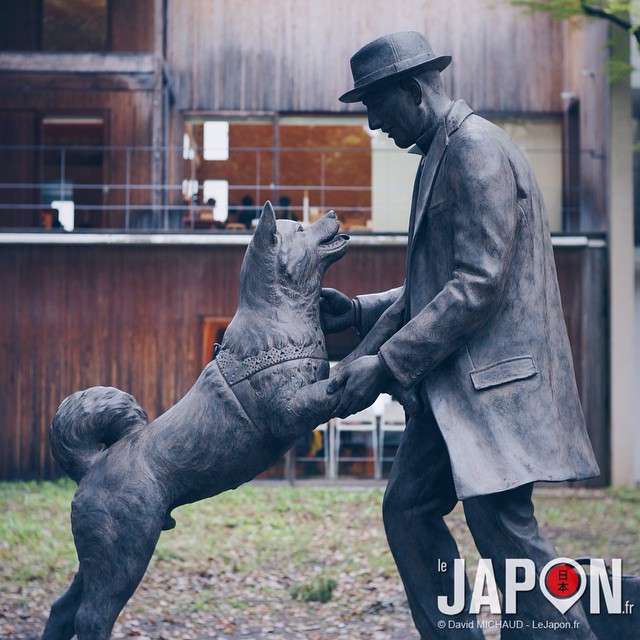 Hachiko a enfin retrouvé son maître Hidesaburo Ueno !