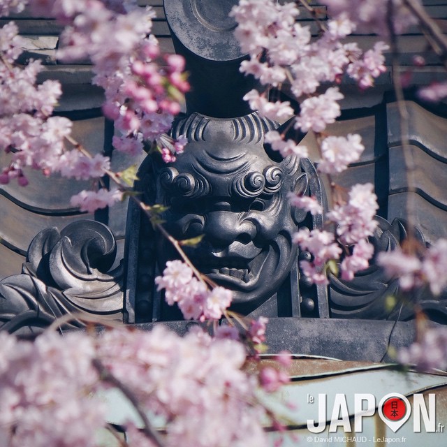 Le démon semble prendre le dessus sur les Sakura… Ça sent le fin à Tokyo !