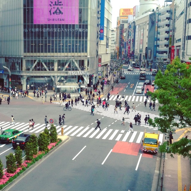 Shibuya crosing ce matin !