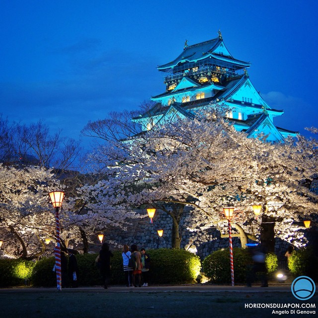 Cerisiers nocturnes du château d’Osaka