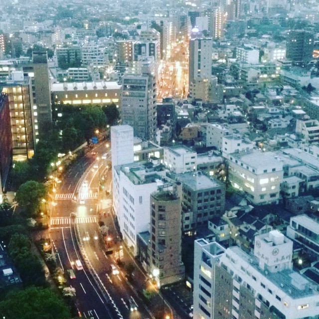 Quand la nuit tombe sur Tokyo !