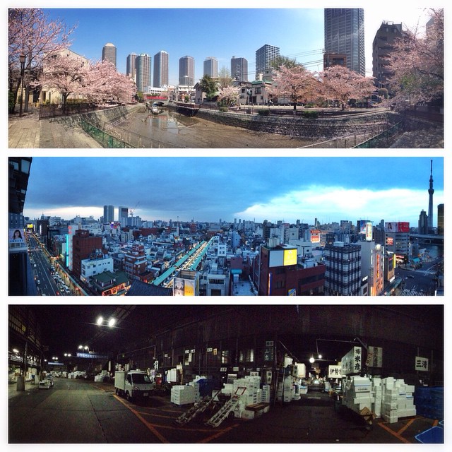 Tokyo Panorama