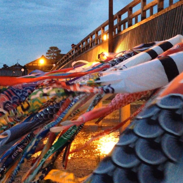 Les Koinobori de Kanazawa en vidéo ! #kanazawa