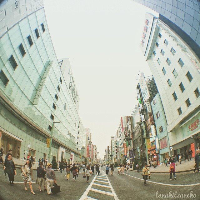 Ginza au travers de l’oeil du poisson