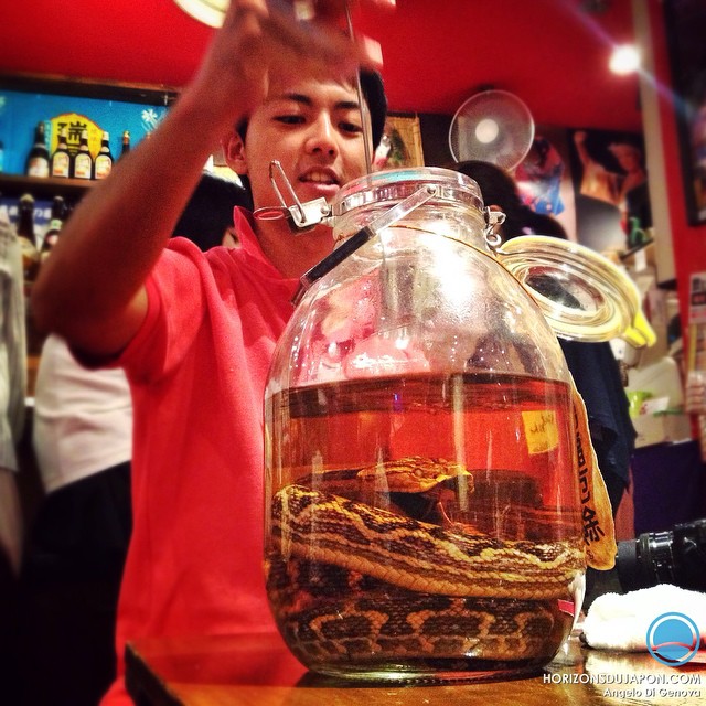 Hier soir, fin de soirée avec un verre de Habushu, alcool d’Okinawa avec un serpent dedans
