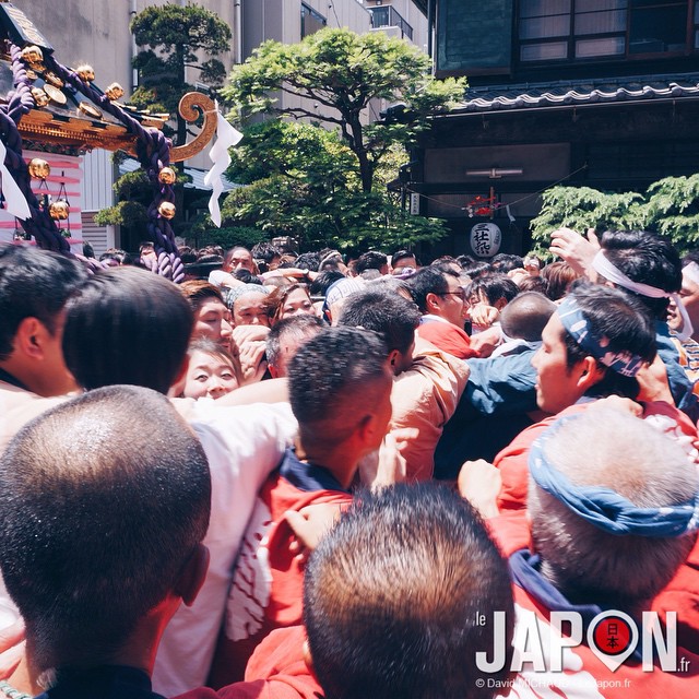 Sanja Matsuri d’Asakusa, c’est la bagarre ! Je comprends mieux pourquoi il y avait plein de policiers !