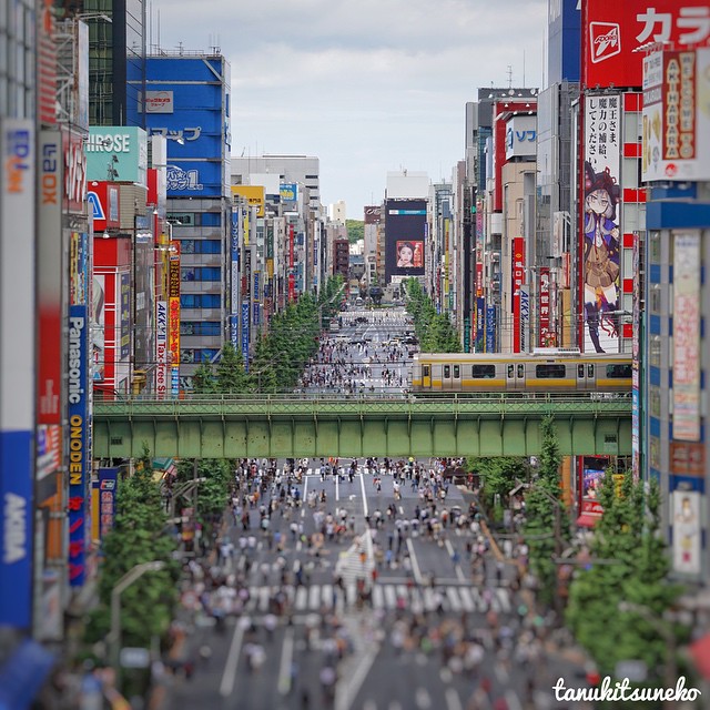 Le Petit Akiba