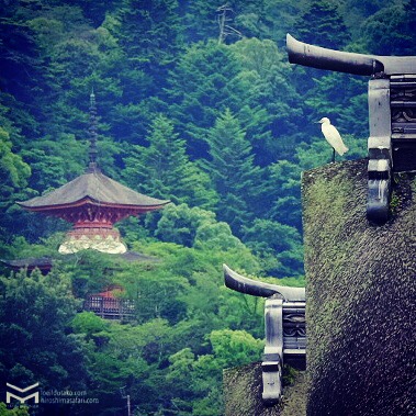 Miyajima même avec un mauvais temps c’est mystique :D