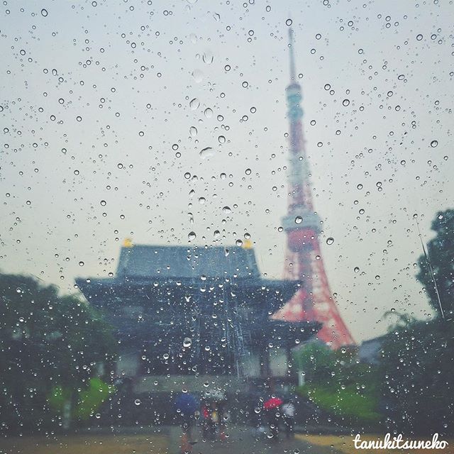 Tokyo sous la pluie? Tokyo Safari !