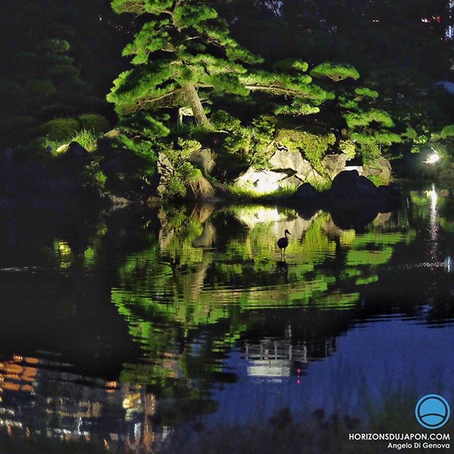 Pin nocturne, reflet de gratte-ciel et silhouette de héron dans le paysage