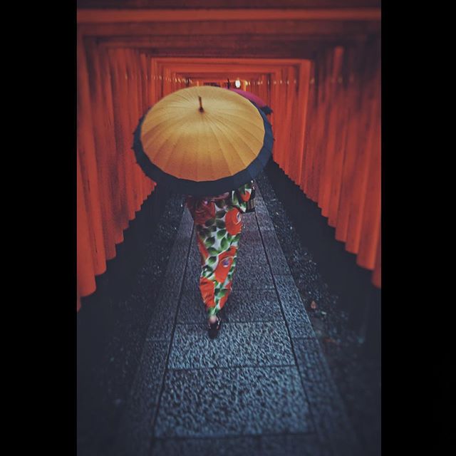 La pluie au Fushimi-Inari rend l’endroit mystique