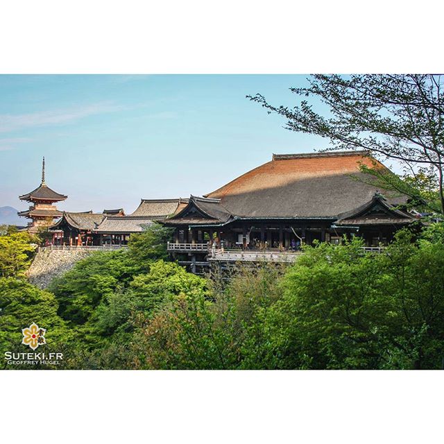 Le Kiyomizu-dera recoit ses premiers rayons du matin dans un calme absolu #japon #kyoto