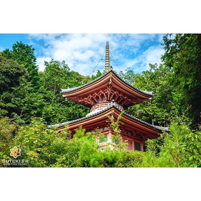 Une bien jolie petite pagode cachée dans les hauteurs de Kyoto
