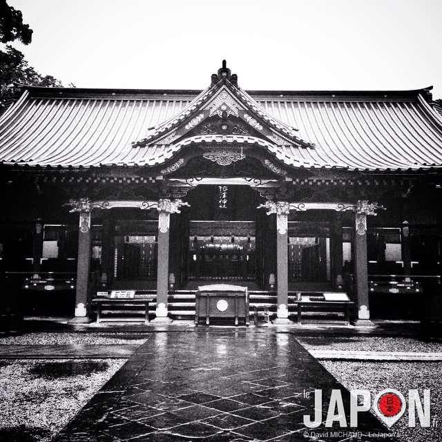 Quand il pleut le noir & blanc est votre sauveur de photo ! #TokyoSafari