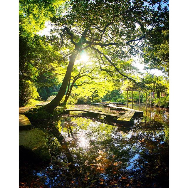 Après Shinjuku à Tokyo, un peu de nature avec le jardin du sanctuaire Oyama à Kanazawa :)