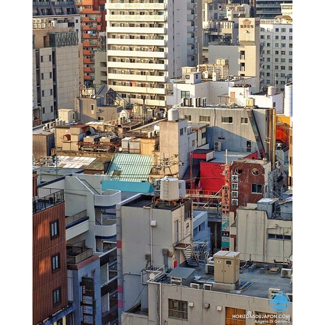 An Open Window on Japan Urbanism