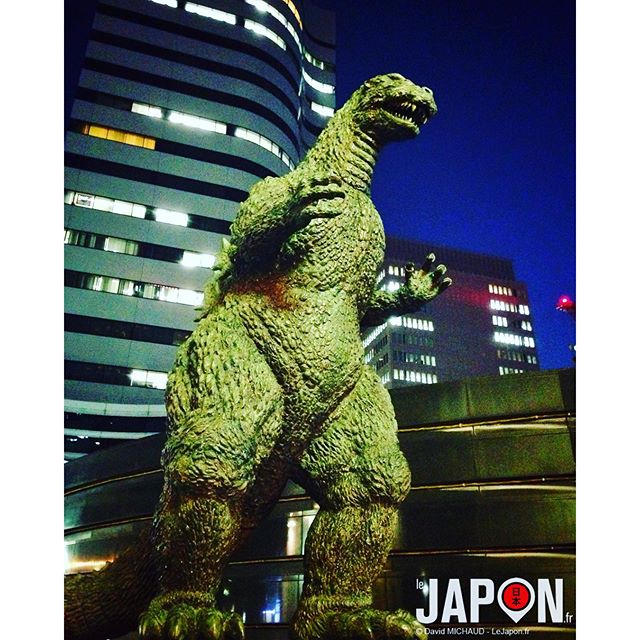 Godzilla le vrai, l’unique ! #Godzilla #Gojira