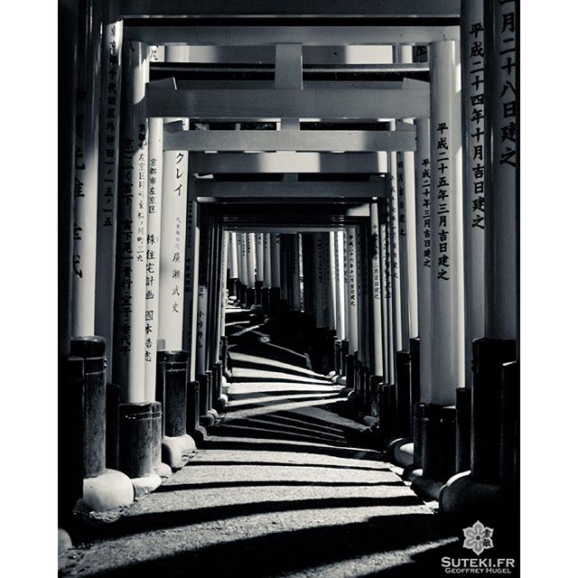 Fushimi-inari en ombres et lumières #japon #kyoto