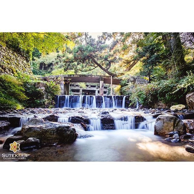 Un pont, une rivière et la magie opère.

#Japon