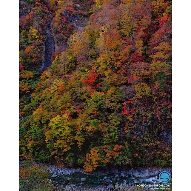 Paysage depuis la fenêtre de la voiture sur la route panoramique Hakusan. Un endroit splendide !