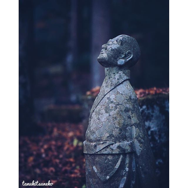 Contemplation à Hakone