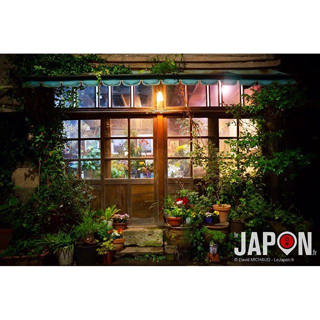 Mon p’tit fleuriste à Tokyo ! :)