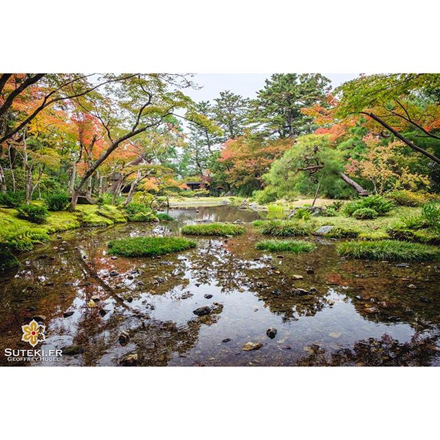 Un petit coin de paradis #japon #kyoto