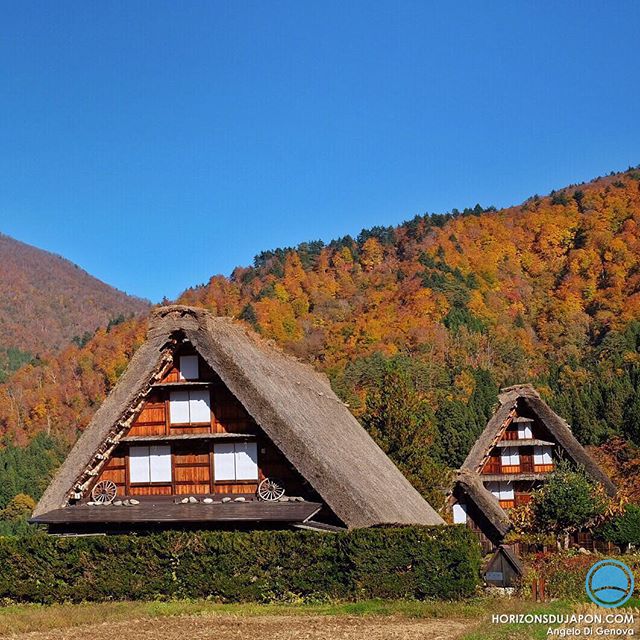Les maisons au toit de chaume au cœur des alpes japonaises