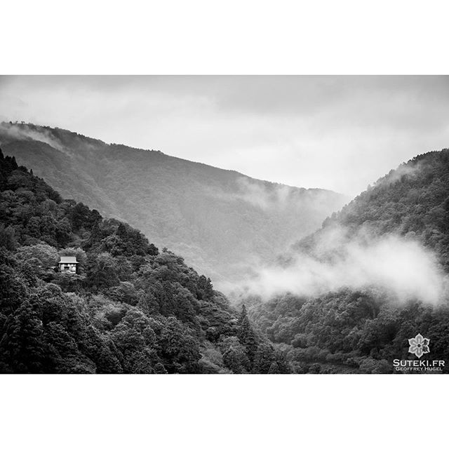 Le petit temple perdu dans les montagnes brumeuses #japon #kyoto