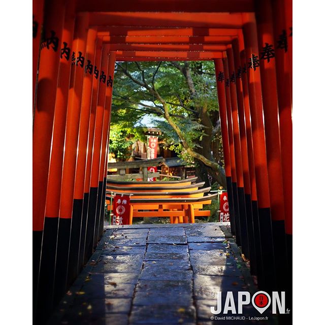 Ueno et ses sanctuaires qui révèlent leur beauté sous un certain angle de prise de vue ! #TokyoSafari