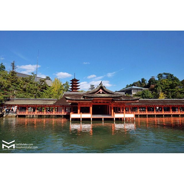 En ce moment il faut profiter des hautes marées ET du soleil sur Miyajima.