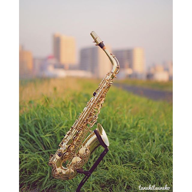 Saxophone au bord de l’Arakawa