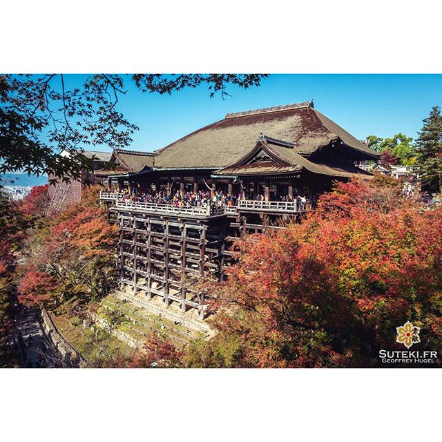 Ultra touristique mais définitivement un must à Kyoto, surtout en automne #japon #kyoto