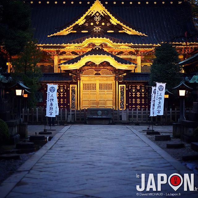 Ueno et son temple d’or ! Euh… pardon… Ueno et son sanctuaire Toshogu ;) #TokyoSafari #Tokyo