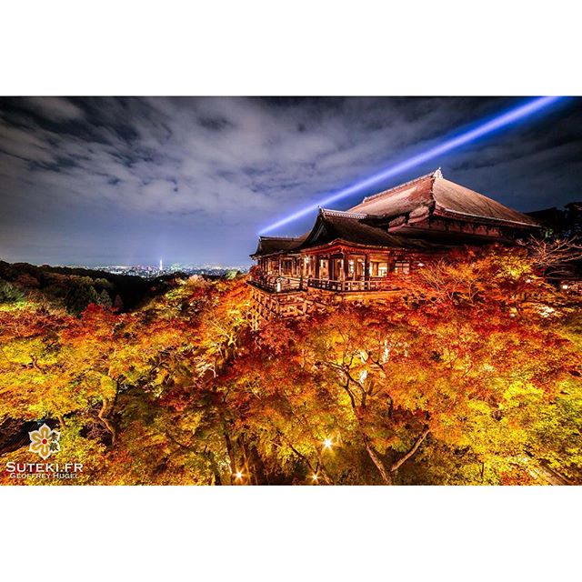 Le Kiyomizu-dera en lightup pendant les koyo, en voilà un sacré combo :) #japon #kyoto