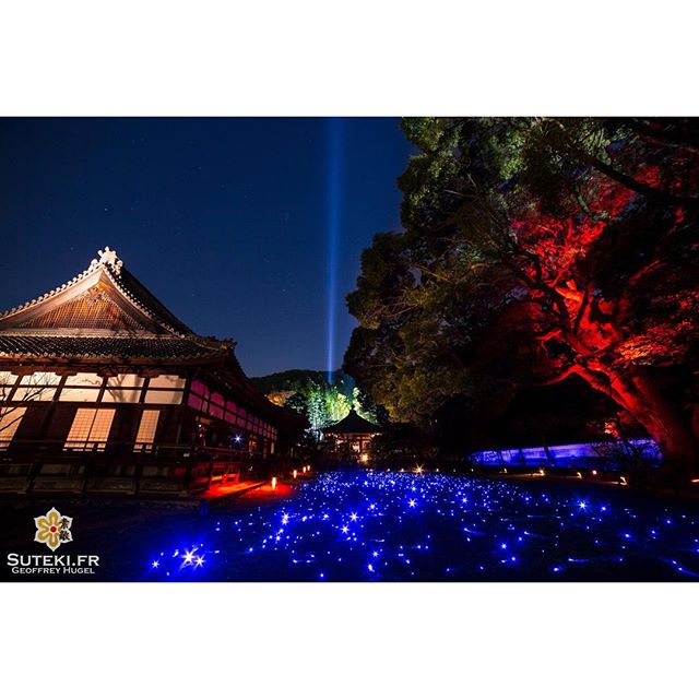 Des étoiles plein les yeux !! #japon #kyoto