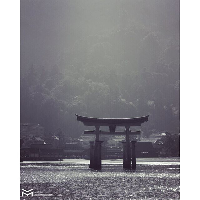 De bon matin pour l’Hiroshima Safari du jour.