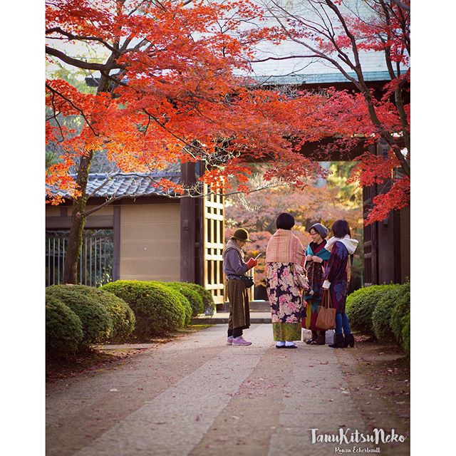 Tokyo, ce village