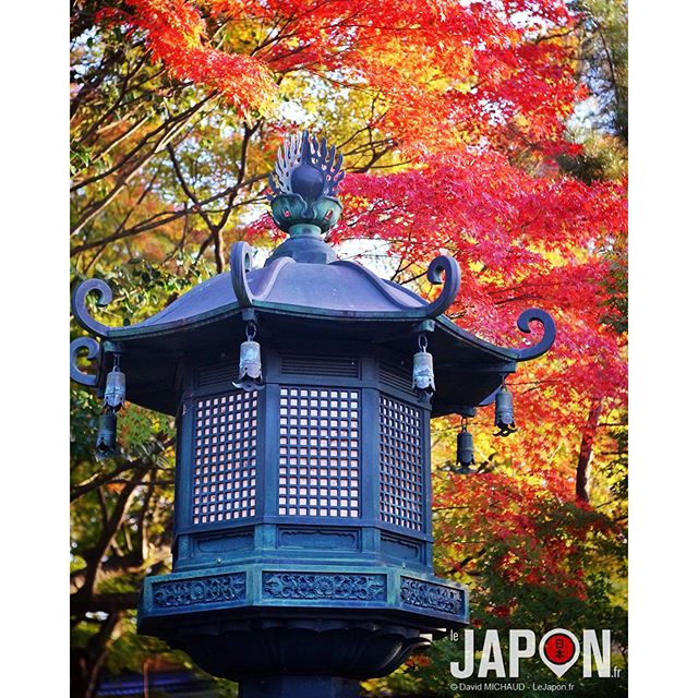 Dédicace à l’ami @loeildutako pour sa collection de lampadaires ! Ici à #Kyoto ;)