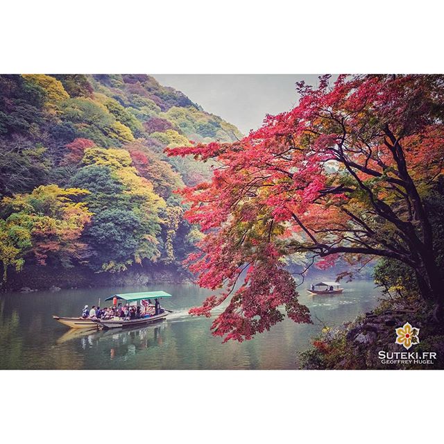 Balade automnale au fil de l’eau #japon #kyoto