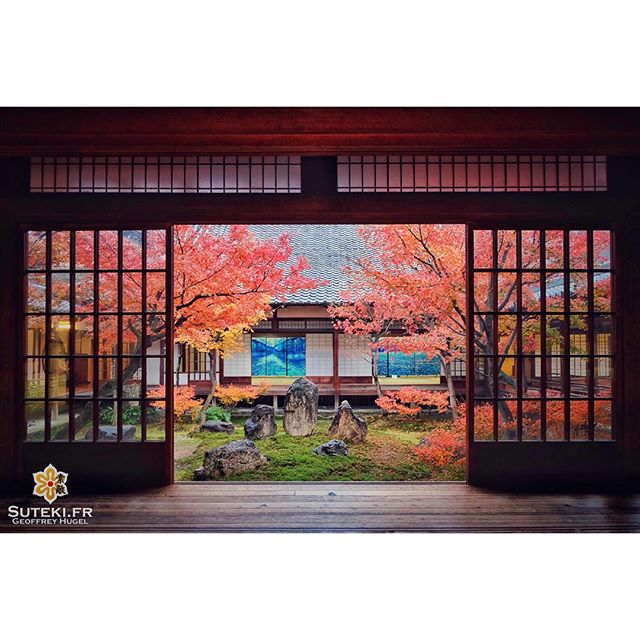 Profiter des dernières couleurs de l’automne dans un calme absolu #japon #kyoto