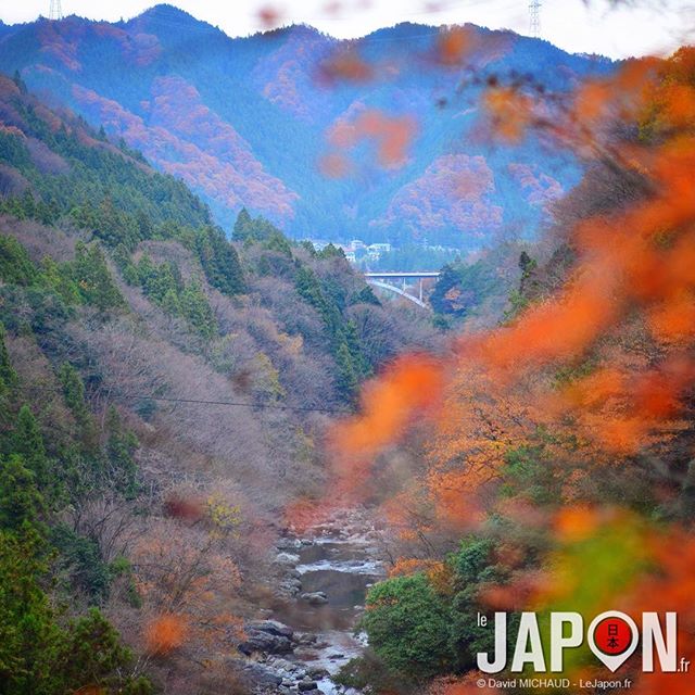 Envie de retourner à Chichibu pour prendre le temps de découvrir la nature et plutôt en Novembre pour mieux profiter de l’automne !