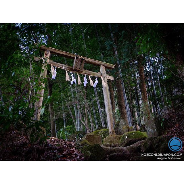 Une porte d’entrée vers les Kami Shintô  au cœur de la montagne