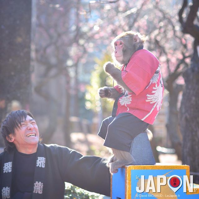 Avec l’arrivé du printemps, fleurissent partout dans #Tokyo les spectacles de rue !