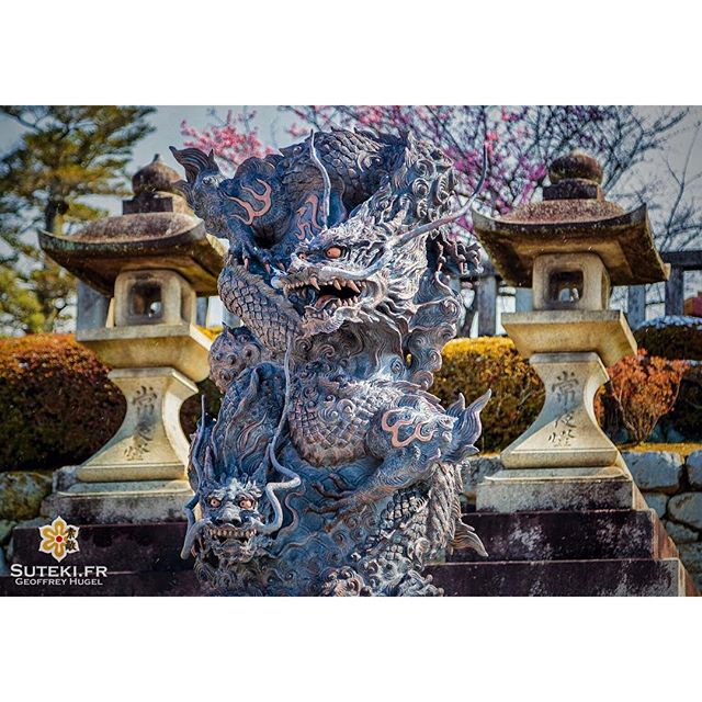 Les deux nouveaux gardiens du Kiyomizu-dera #japon #kyoto