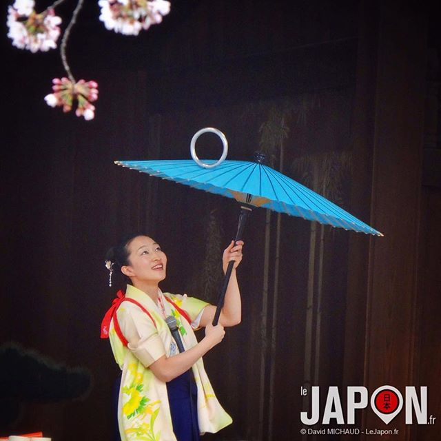 Spectacle traditionnelle d’une jongleuse en kimono sous les Sakura en plein Tokyo ! #TokyoSafari