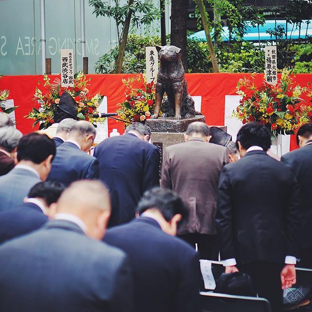 Aujourd’hui nous célébrions les 81ans de la mort de Hachiko