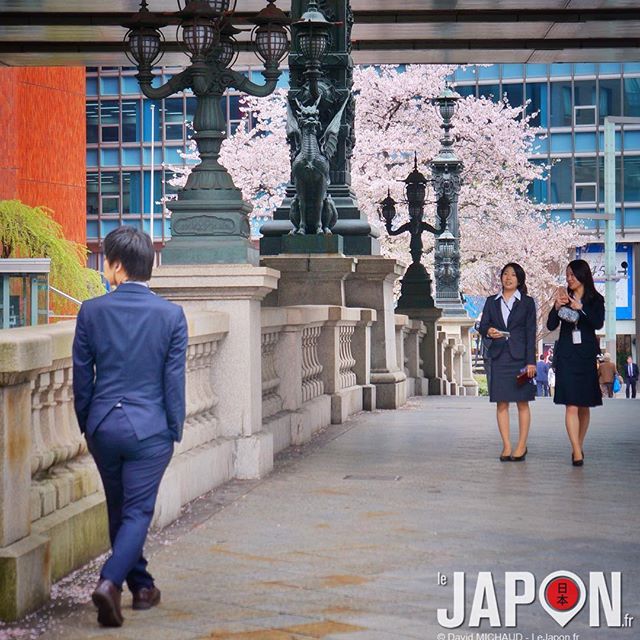 Il pleut des cordes aujourd’hui… Donc c’est déjà avec nostalgie que l’on regarde les photos de Sakura…